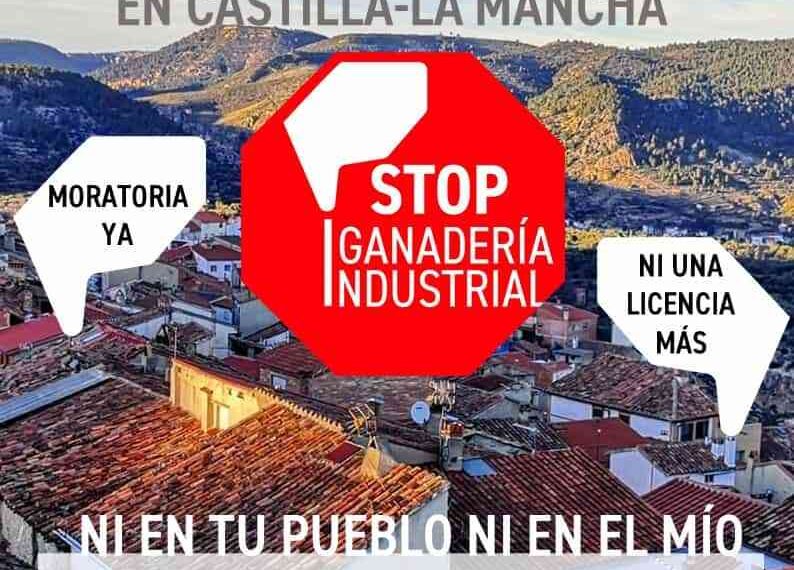 Convocan a manifestación en Toledo el domingo para exigir una moratoria contra la ganadería industrial en Castilla-La Mancha