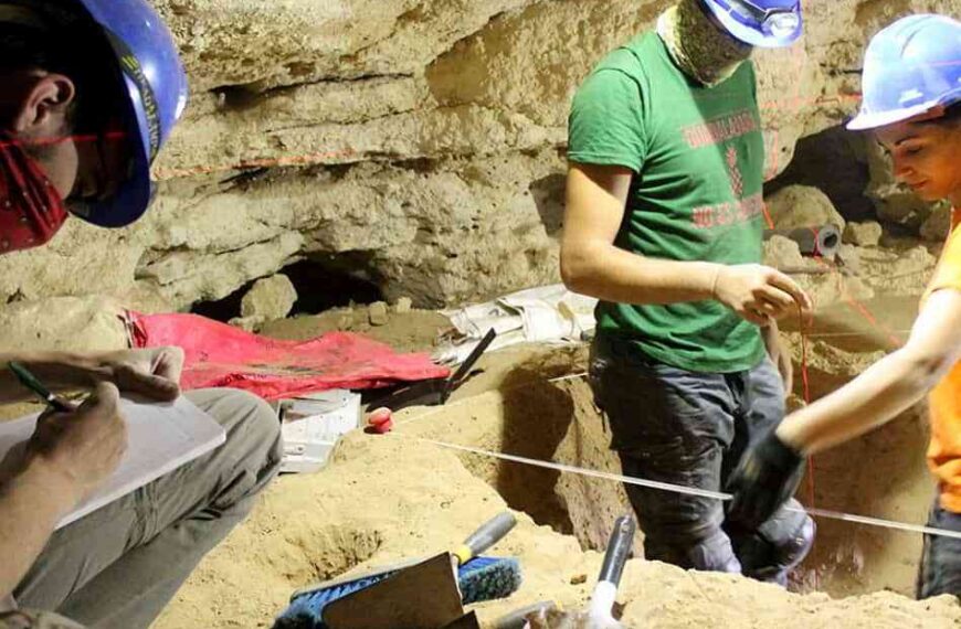 El equipo que descubrió el tejón primitivo, en la Cueva de los Toriles de Carrizosa, reanuda sus trabajos este verano