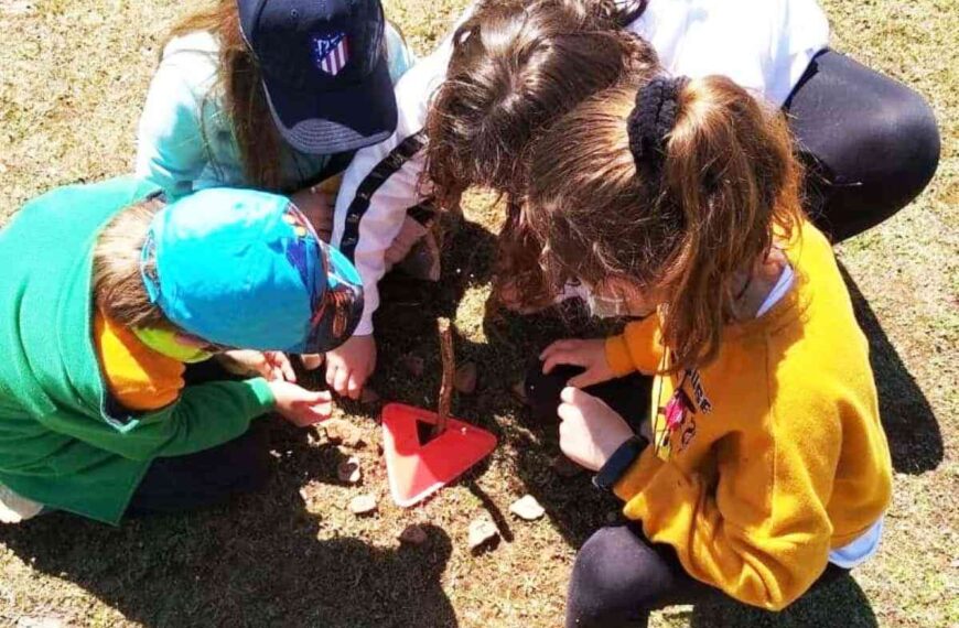 Actividad de orientación en naturaleza este fin de semana en la Dehesa Boyal