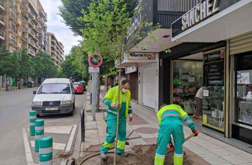 Por el Día del Medio Ambiente se plantaron 2 árboles en Avenida Primero de Mayo de Puertollano