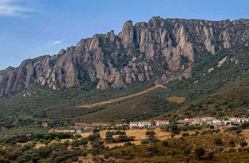 La ADS Valle de Alcudia destina 420.000 euros en la primera Convocatoria de Ayudas a proyectos no productivos este 2021