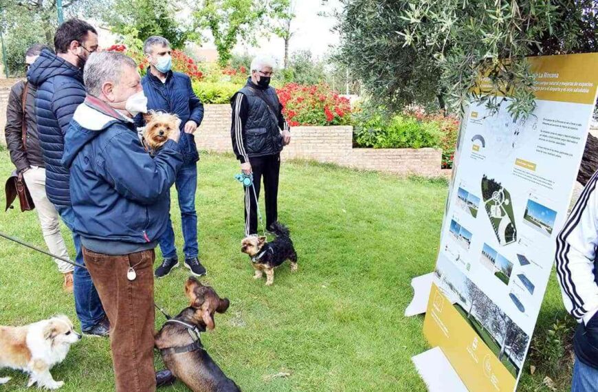 Actuación en el parque de La Rincona de mejora de espacios de convivencia con fondos FEDER