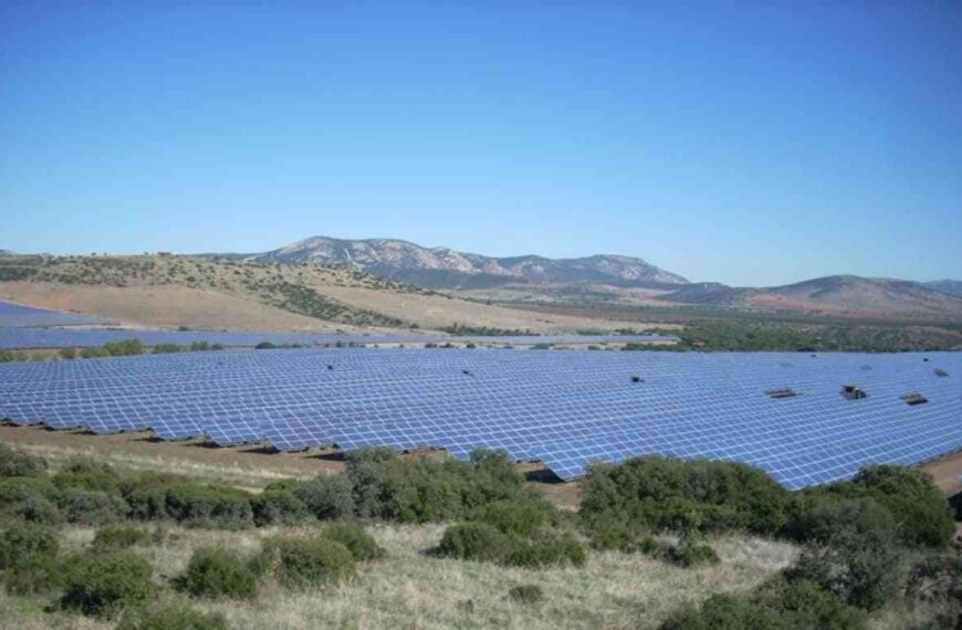 Autorizada a Renovalia la licencia de funcionamiento para las instalaciones en la finca El Bonal