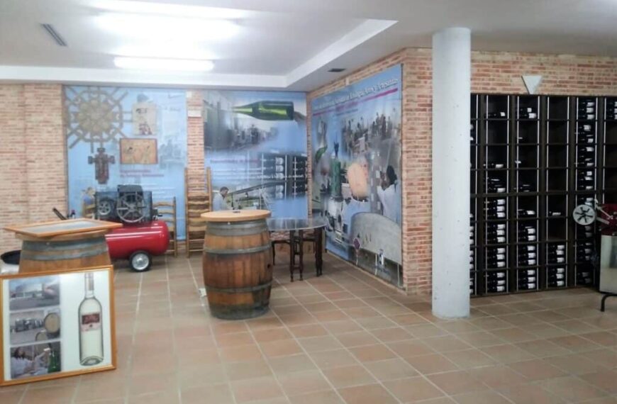 El Gobierno regional prepara dos cursos gratuitos sobre gestión de residuos de industrias agroalimentarias de debidas y embalaje de vinos