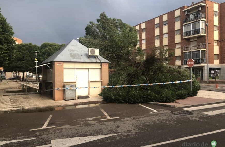 Caída de árboles y ramas en otra tromba de agua de Alcázar de San Juan