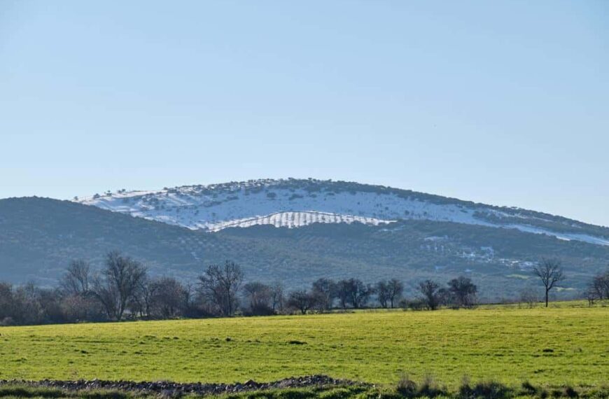 Aldea del Rey vivirá “la Noche Europea de los Volcanes” con actividades escolares en el Colegio Maestro Navas y visitas a los volcanes del entorno