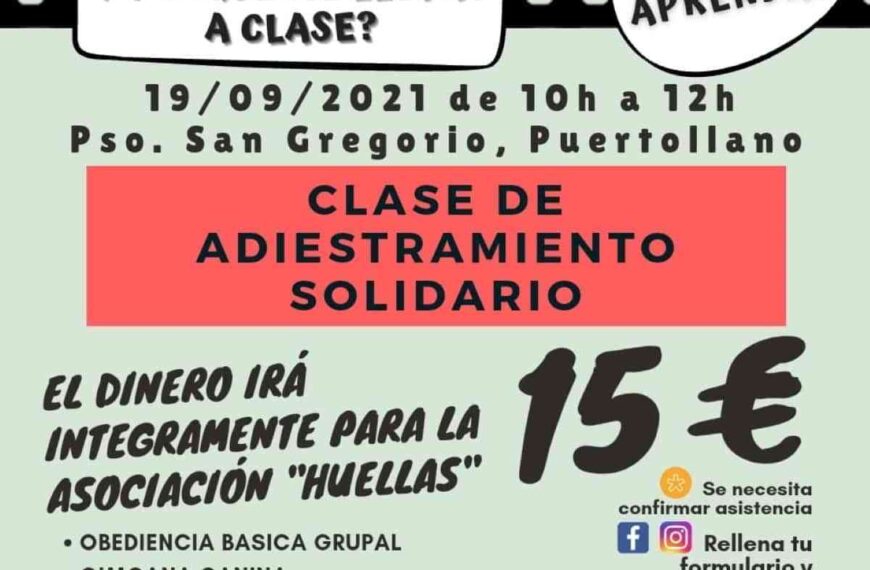 Clase solidaria de adiestramiento canino de la protectora “Huellas” este domingo en Puertollano