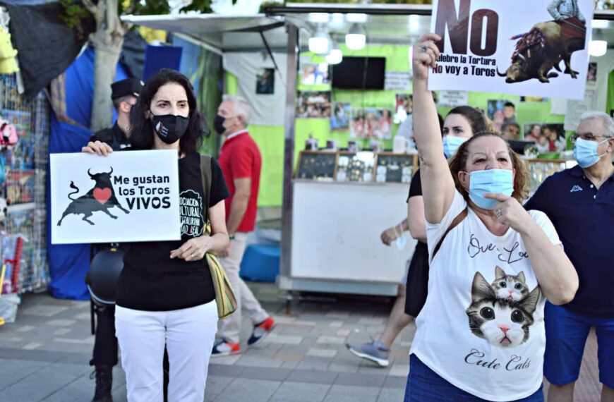 Concentración en rechazo a la tauromaquia frente a la plaza de toros Alcazar de San Juan por la asociacion cult. Antitaurina de Ciudad Real y Animalcazar