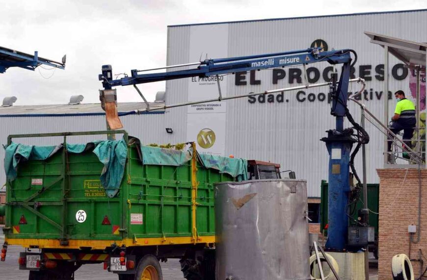 Optimismo en El Progreso por la subida del precio del vino