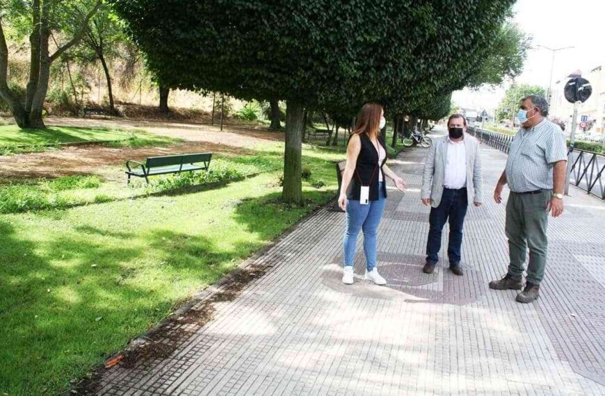 Mejoras en la zona verde de la Avenida de Ciudad Real en Puertollano