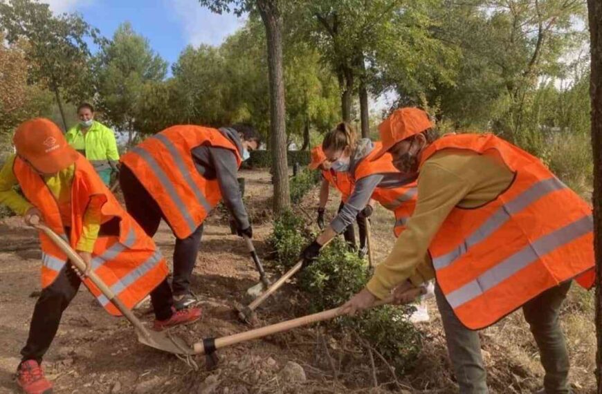 Jornada de plantación popular y limpieza en el Corredor Verde de Puertollano