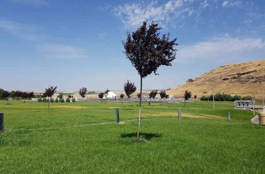 Aquona apuesta por las infraestructuras sostenibles para mitigar el impacto del cambio climático