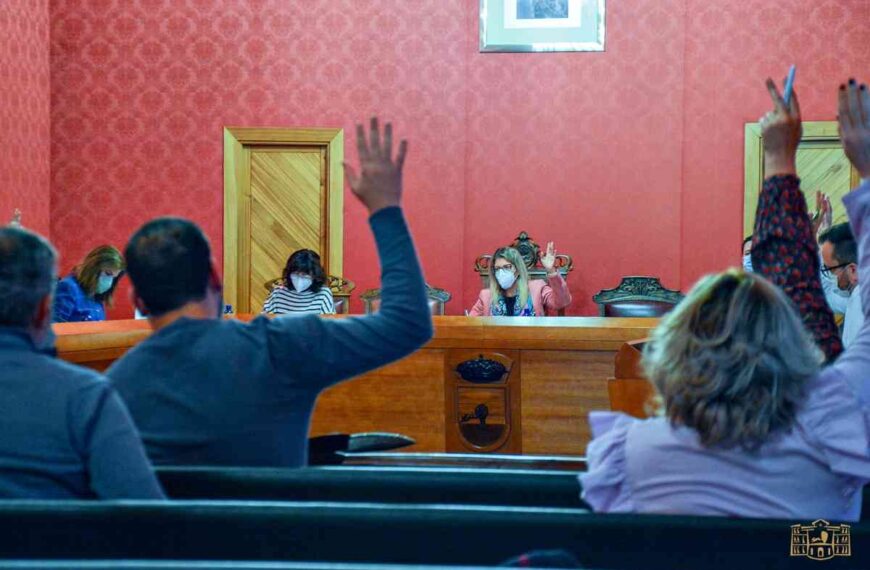 Declaración institucional por el Día Internacional de la Eliminación de la Violencia contra la Mujer del pleno de Tomelloso