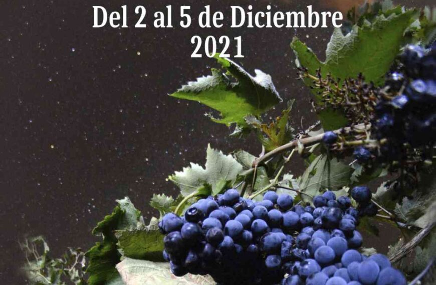 VI Jornadas “Manzanares, Tierra de Vinos” del 2 al 5 de diciembre con un concurso de maridaje