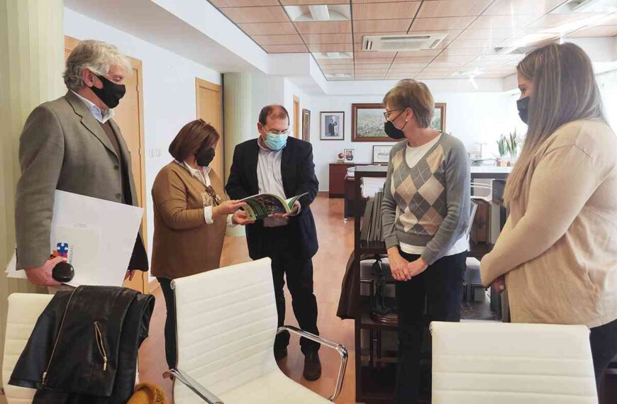 Protocolo para favorecer la inclusión laboral de las personas con discapacidad intelectual en Puertollano