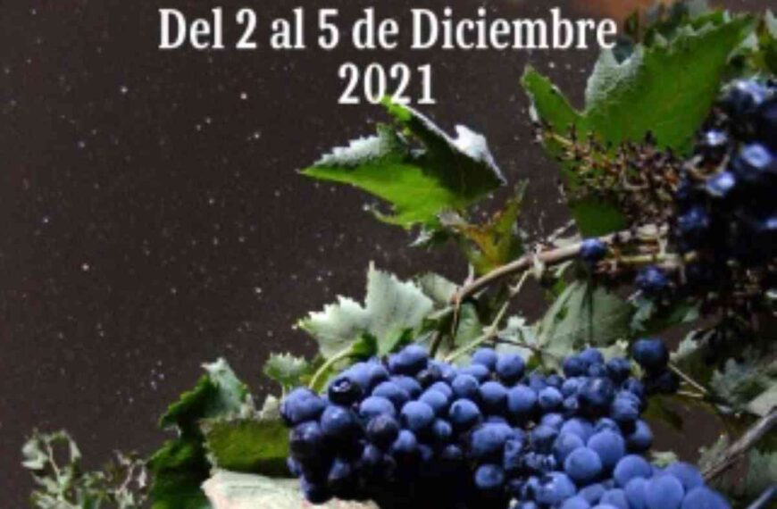 Concurso gastronómico y catas comentadas en las VI jornadas ‘Manzanares, tierra de vinos’ que inician hoy