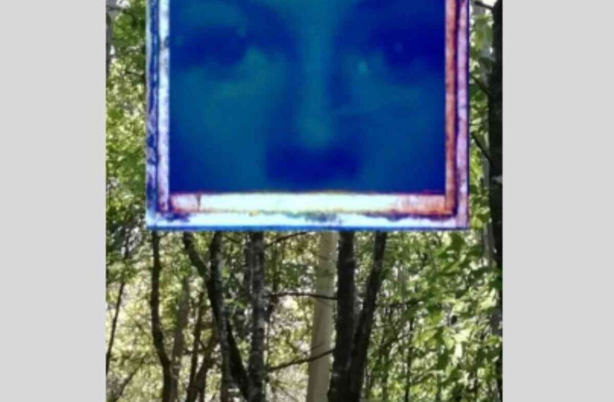 Presentarán el libro “Jardín Botánico” de Federico Gallego Ripoll en la Biblioteca “Lope de Vega” de Manzanares el 10 de diciembre