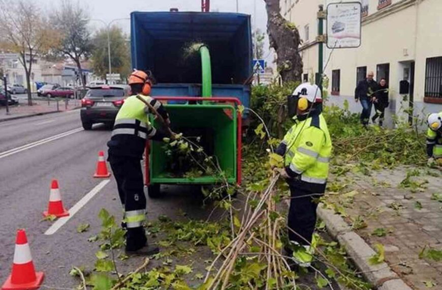 Calles donde se llevarán a cabo las podas programadas la semana del 27 de diciembre al 2 de enero en Ciudad Real