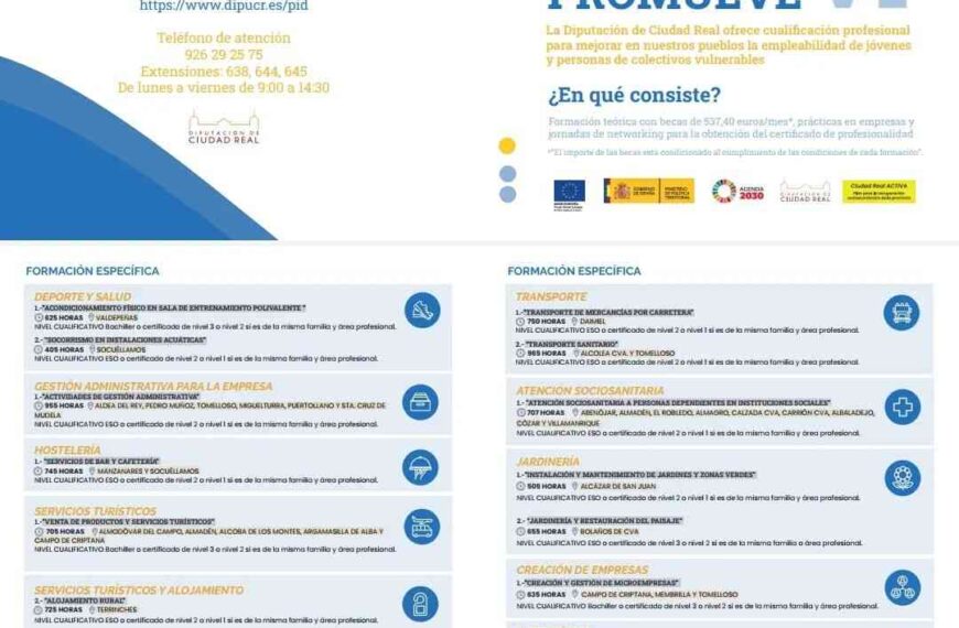 Almadén: Plan Promueve VI