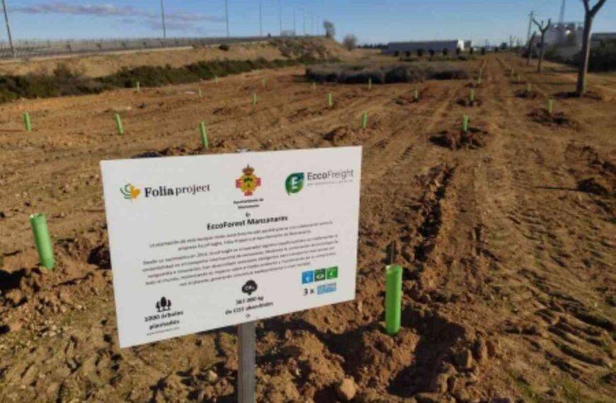 1.000 árboles fueron plantados en dos parcelas del polígono industrial de Manzanares