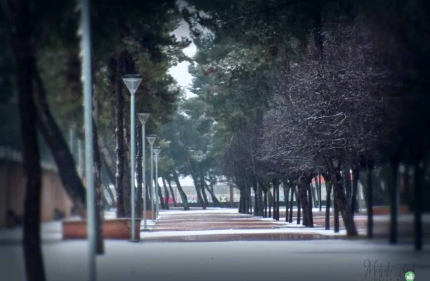 Fotografías de la primera nevada de 2021 en Tomelloso