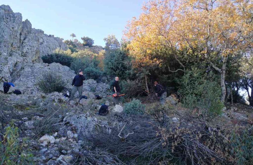Viso del Marqués tiene 8 nuevos profesionales para aprovechamiento forestal