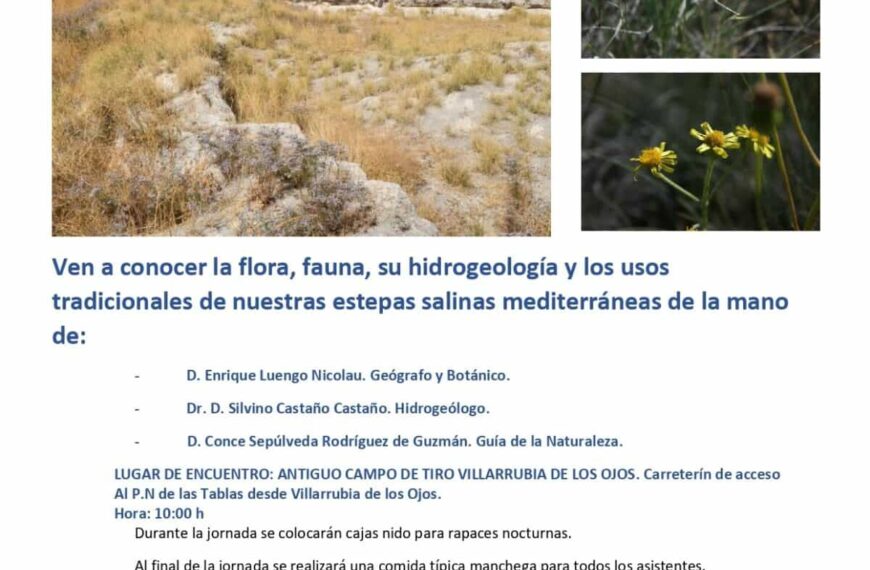 Jornada sobre los Ojuelos de Villarrubia de los Ojos el próximo 19 de febrero