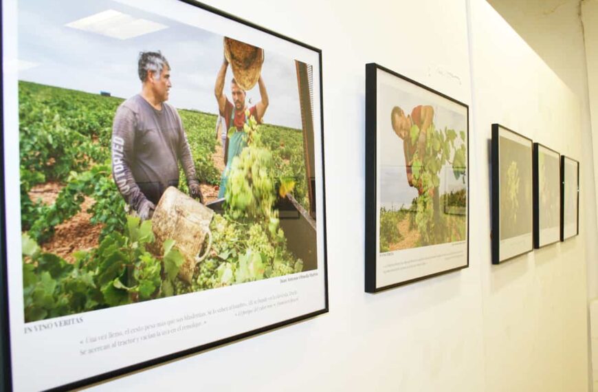 Exposición “In vino veritas” del colectivo fotográfico Raw abierta hasta el 14 de abril en Casa de Baños de Puertollano