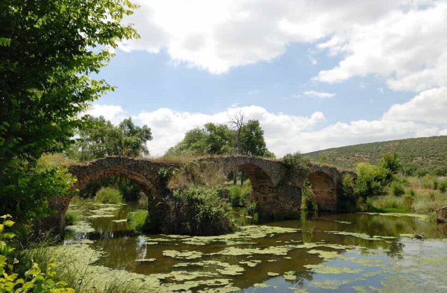 Próxima escapada Entreparques: cuatro planes para descubrirlo