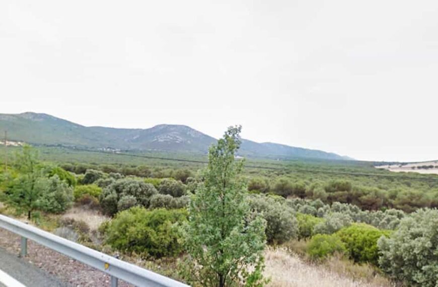 La comarca de Puertollano en Aviso Amarillo el viernes 20 y sábado 21 de mayo, por temperaturas hasta los 38 grados según la alerta de Aemet