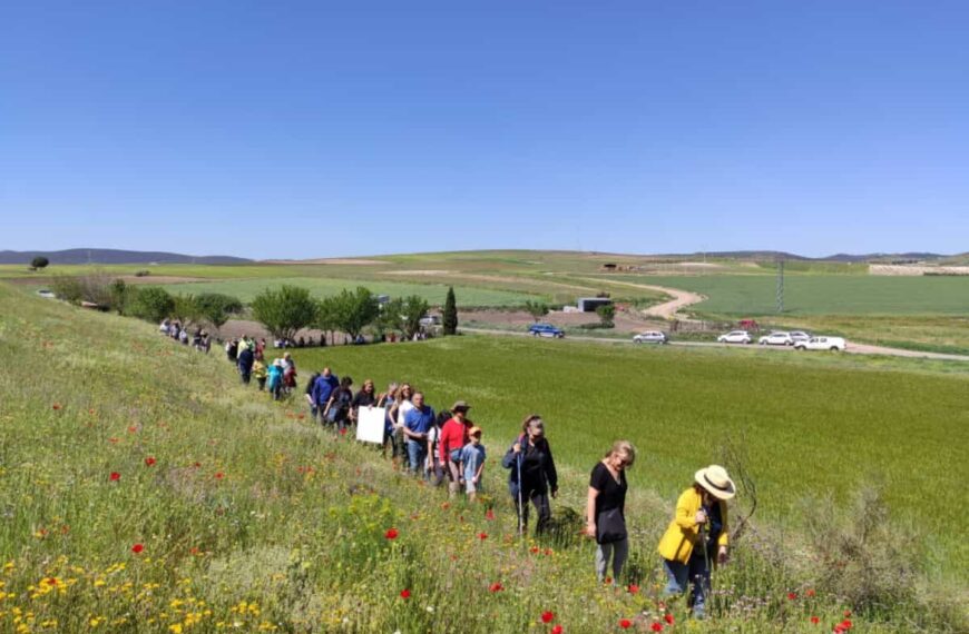Celebrado el Geolodía con una visita al cementerio de los elefantes de las Higuerelas en Alcolea de Calatrava