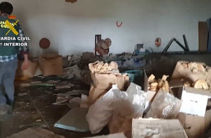 Clausuran un matadero ilegal que vendía carne sin control en locales asiáticos, uno en Fuente el Fresno