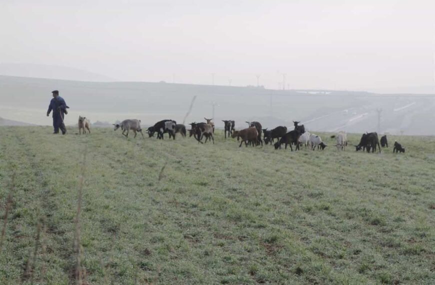 La Escuela de Pastores de C-LM echa a andar con 12 cursos presenciales para este 2022