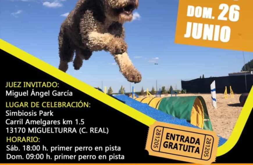 III y IV prueba de Agility de la “Liga Ambas Castillas” en Miguelturra el 25 y 26 de junio  