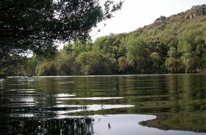 La Tabla de la Yedra volverá a ser escenario de baño y música la noche del 2 de julio