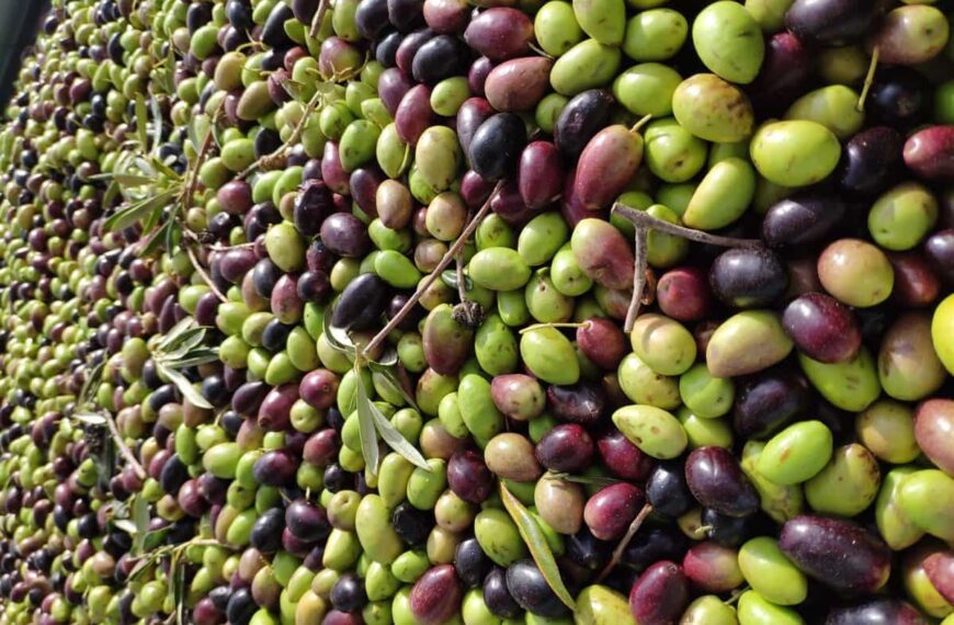 C-LM crece un 17,7% en exportaciones hasta mayo respecto a 2021 y las importaciones aumentan en un 31%