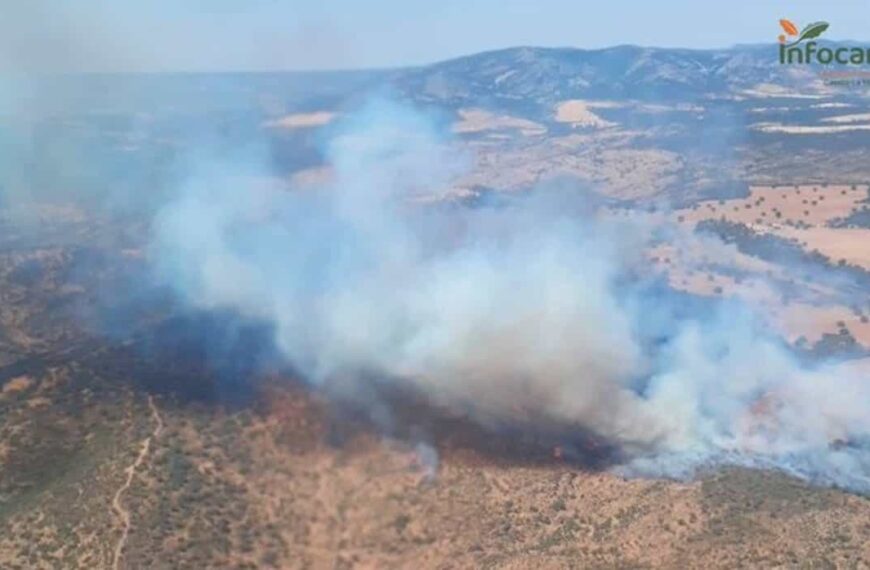 Controlado el incendio de Montiel (Ciudad Real)