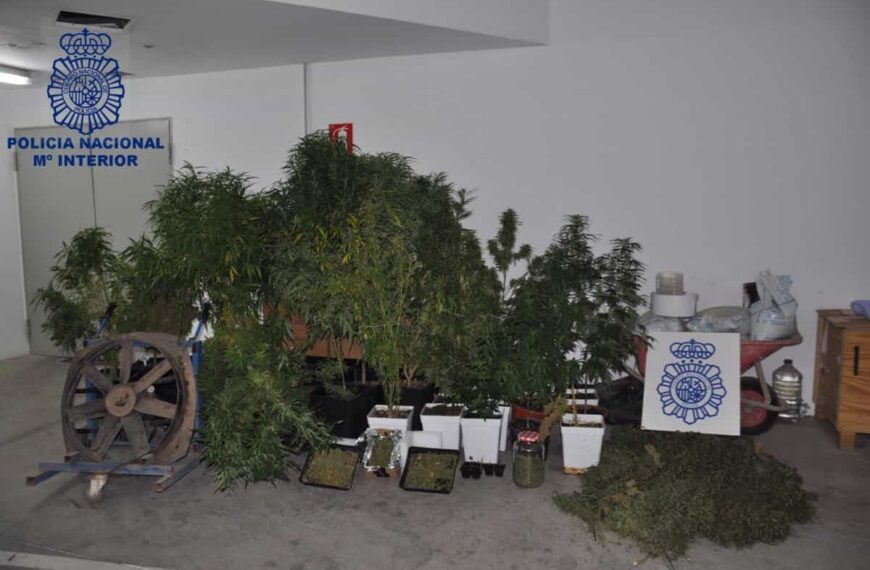 Descubren una plantación de marihuana en Valdepeñas tras acudir a una llamada que alertaba de un incendio