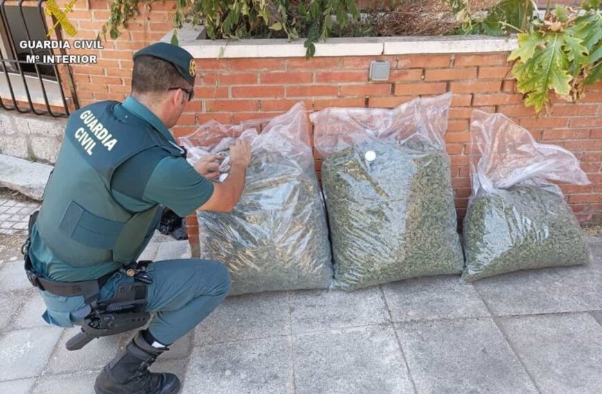 Interceptado en Membrilla un conductor que transportaba 19 kilos de marihuana