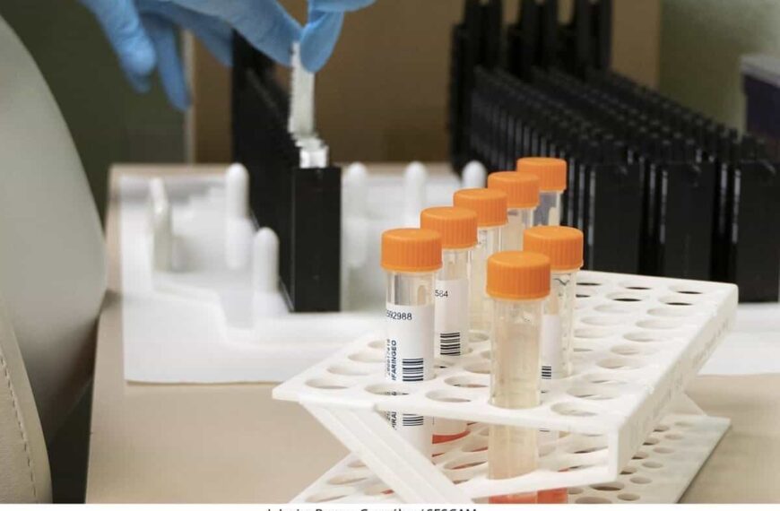 Los casos de viruela del mono en C-LM ascienden a 12 tras registrarse uno nuevo en la provincia de Guadalajara