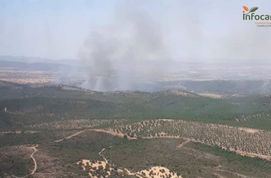 Más de 33 efectivos trabajan en extinguir un fuego en Malagón (Ciudad Real), en nivel 1