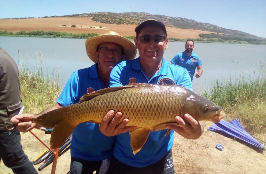 Viso del Marqués prepara su Ferias y Fiestas en honor a Santiago Apóstol con propuestas para todos los públicos