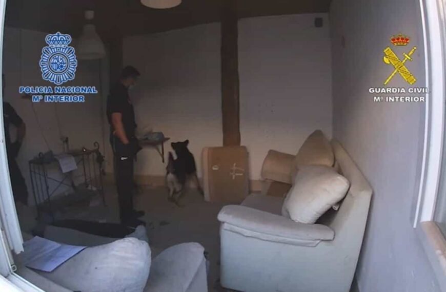 Trece detenidos de una red que distribuyó 5 toneladas de hachís desde Andalucía a Europa oculta en camiones