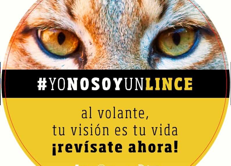 Cerca de 60 ópticas castellanomanchegas ofrecen sus servicios profesionales para reducir la tasa de siniestralidad en la carretera