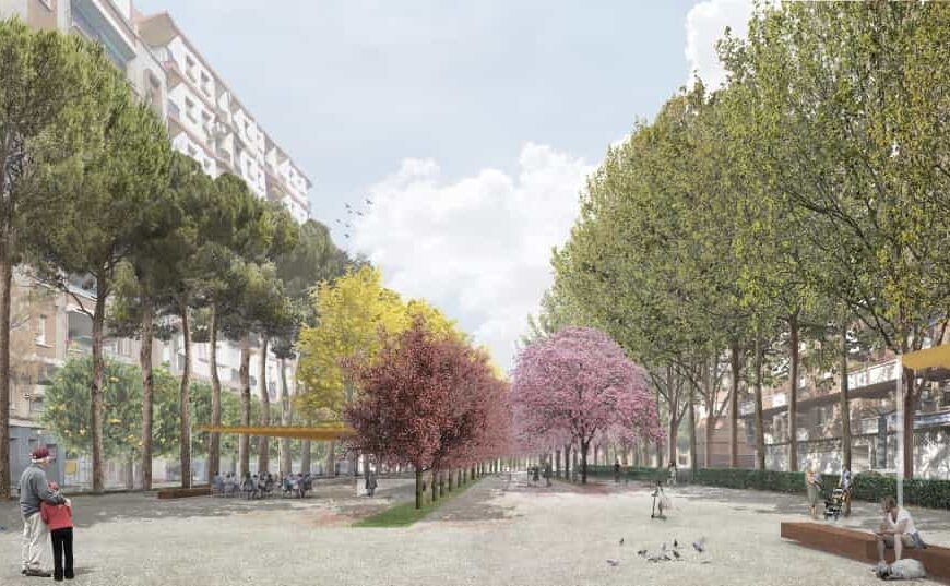 423 árboles nuevos en el Paseo del Bosque de Puertollano que se suman a los que trasplantarán afectados por las obras