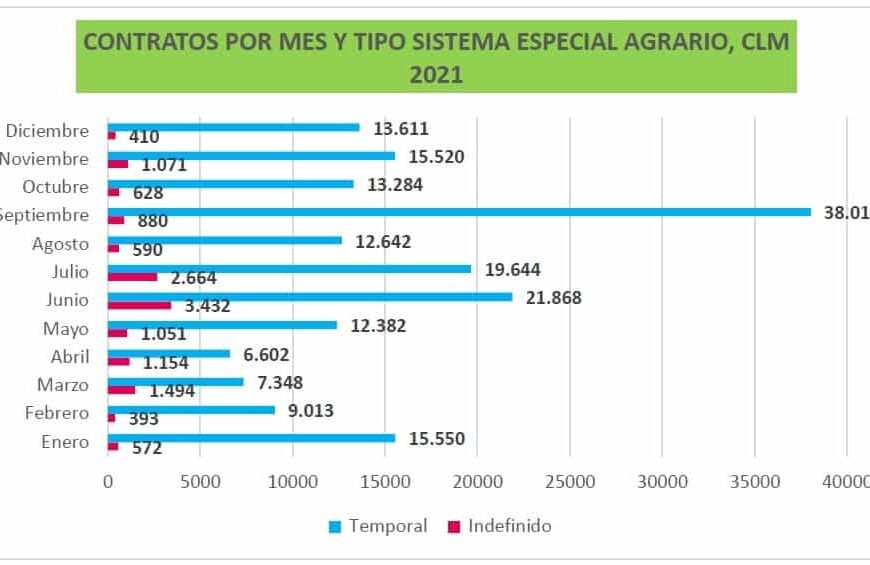 La vendimia no empleará este año trabajadores eventuales en CLM, pero sí a unas 25.000 personas fijas-discontinuas