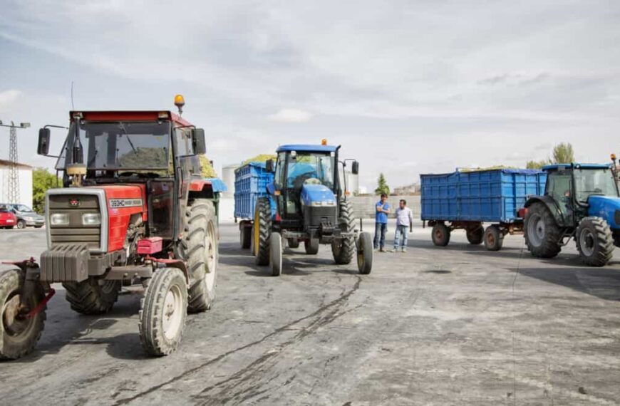 Analizando la campaña de la vendimia en Castilla-La Mancha en su tradicional Asamblea Sectorial Vitivinícola