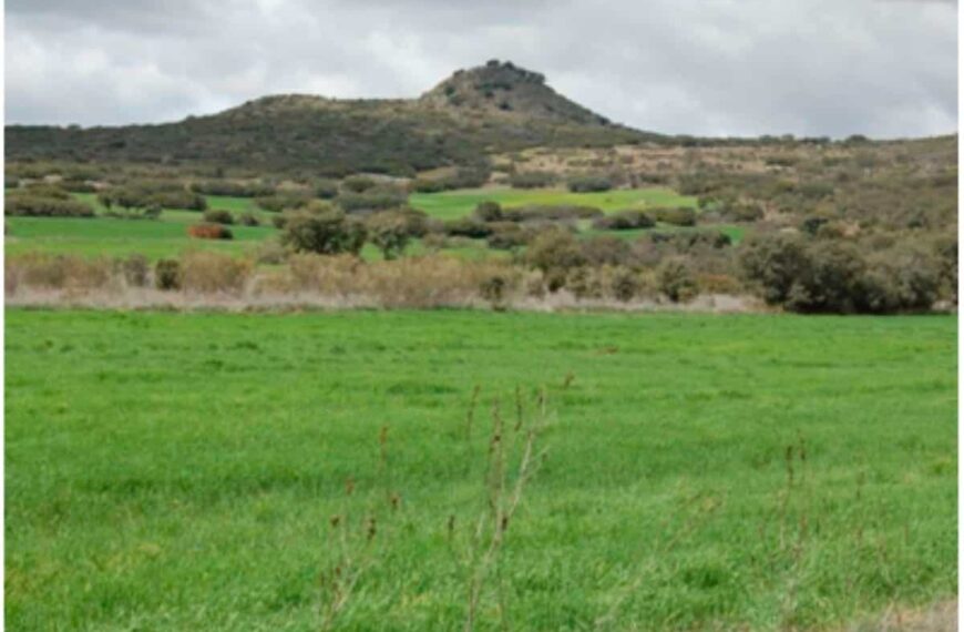 Ruta senderista el 24 y 25 de septiembre Volcán el Morrón de Villamayor de Calatrava ¡participa!