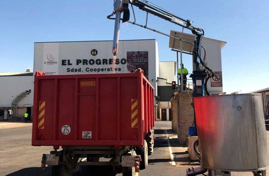 Cooperativa El Progreso generalizará la vendimia tras las Fiestas y confían en un repunte en los precios del vino