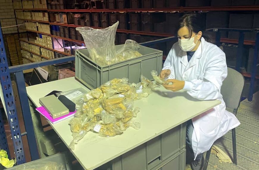 La Fundación PALARQ se suma a las investigaciones arqueológicas en Castillejo del Bonete, el yacimiento prehistórico de Terrinches